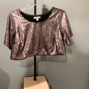 Ashley Nell Tipton Boutique Sequin Crop Top In Matte Rose  - Size 0X
